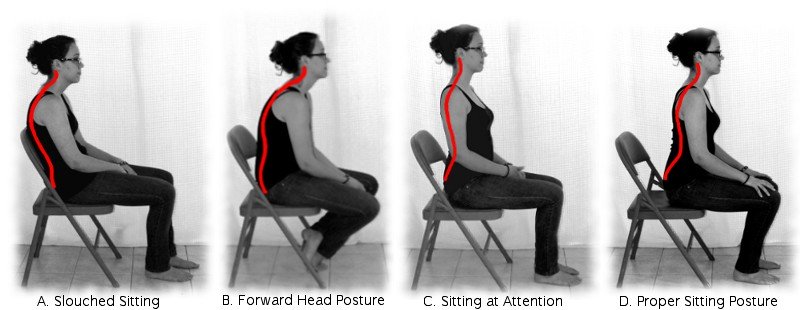 Proper Sitting Posture