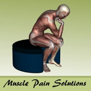 Sternocleidomastoid Muscle